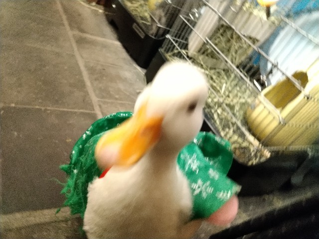 f:id:cutie_blue:20230106192753j:image f:id:cutie_blue:20230106192753j:image