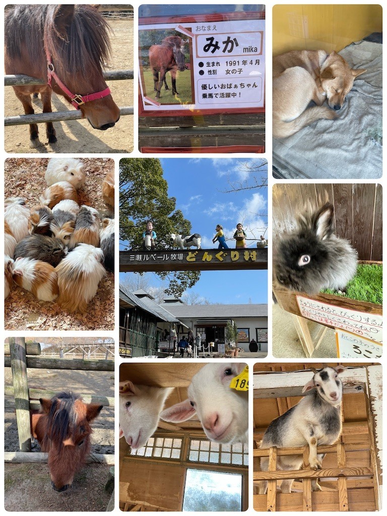 f:id:cutie_blue:20230109175204j:image