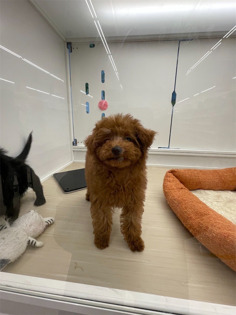 f:id:cutie_blue:20230116125323j:image