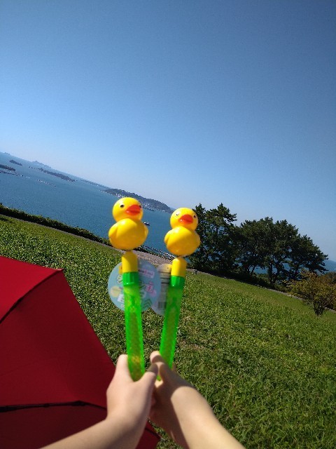 f:id:cutie_blue:20230120180307j:image f:id:cutie_blue:20230120180307j:image