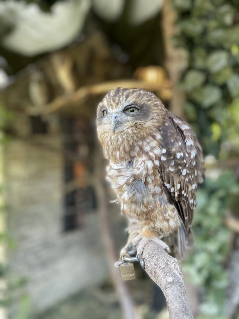 f:id:cutie_blue:20230201175512j:image f:id:cutie_blue:20230201175512j:image