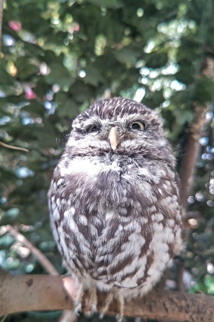 f:id:cutie_blue:20230201175553j:image f:id:cutie_blue:20230201175553j:image