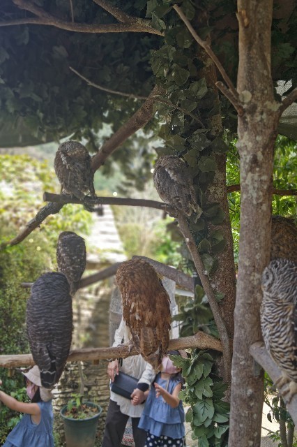 f:id:cutie_blue:20230201175618j:image f:id:cutie_blue:20230201175618j:image