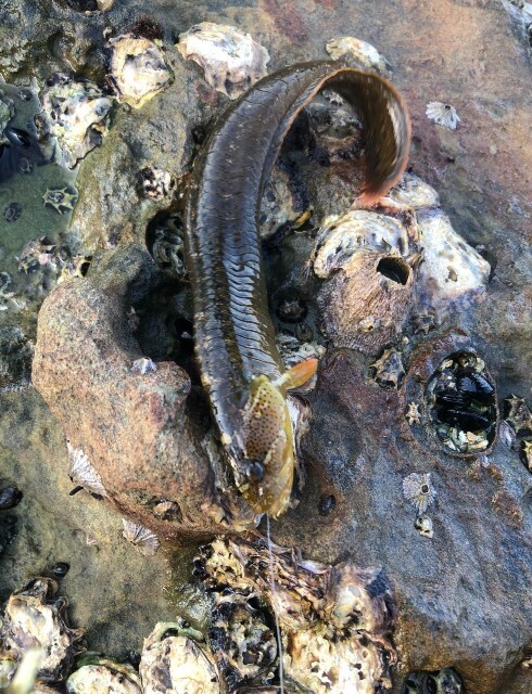 f:id:cutie_blue:20230222214201j:image