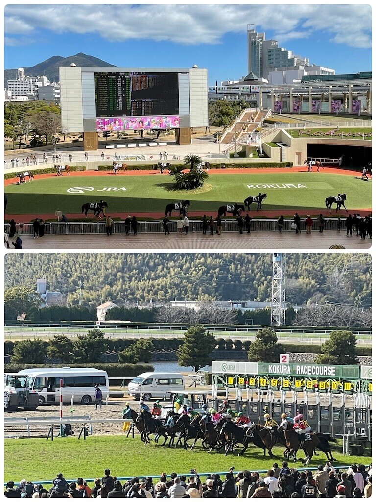 f:id:cutie_blue:20230227131527j:image