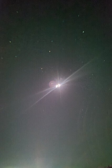 f:id:cutie_blue:20230301144154j:image f:id:cutie_blue:20230301144154j:image