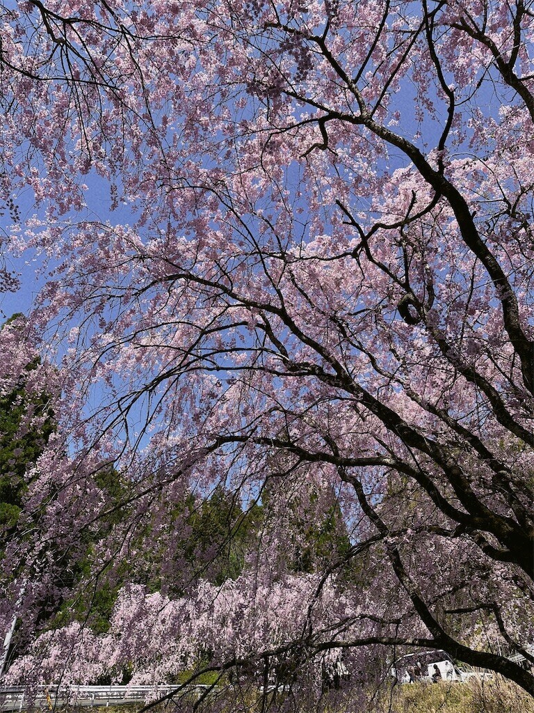 f:id:cutie_blue:20230404150348j:image f:id:cutie_blue:20230404150348j:image