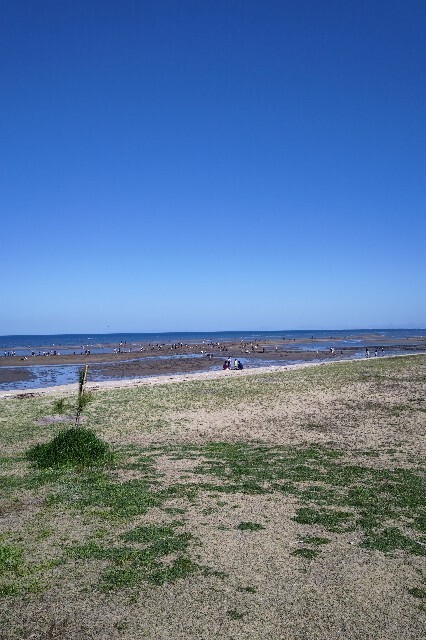 f:id:cutie_blue:20230412143800j:image f:id:cutie_blue:20230412143800j:image