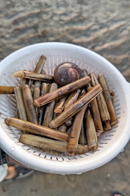 f:id:cutie_blue:20230412144642j:image f:id:cutie_blue:20230412144642j:image