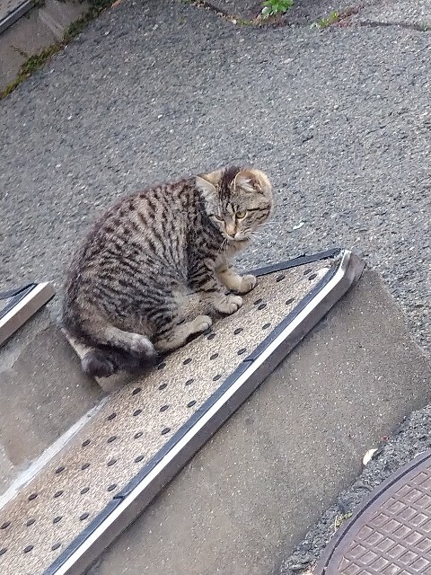 f:id:cutie_blue:20230421202502j:image f:id:cutie_blue:20230421202502j:image