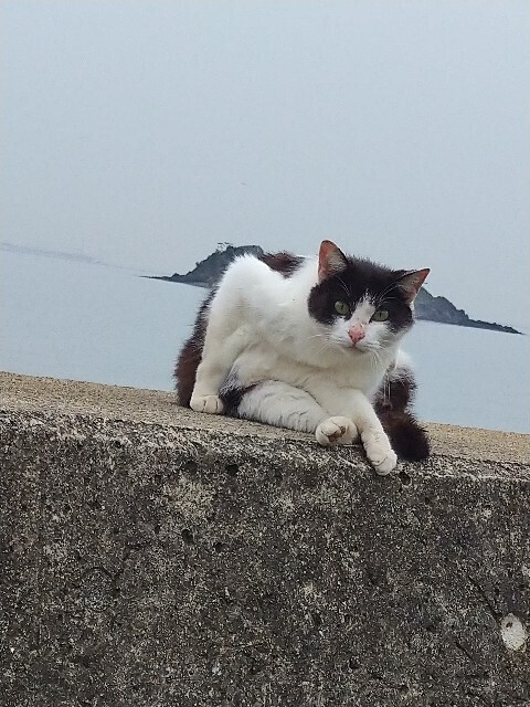 f:id:cutie_blue:20230421202808j:image f:id:cutie_blue:20230421202808j:image