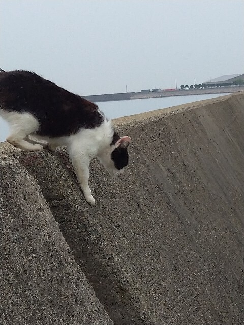 f:id:cutie_blue:20230421202901j:image f:id:cutie_blue:20230421202901j:image