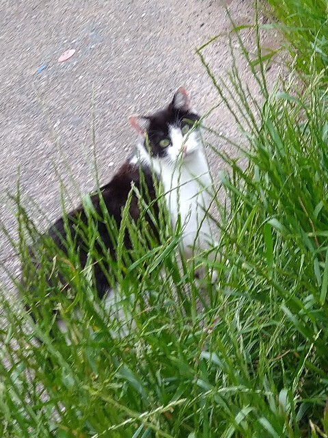 f:id:cutie_blue:20230421202925j:image f:id:cutie_blue:20230421202925j:image