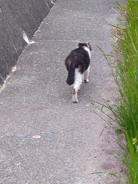 f:id:cutie_blue:20230421203126j:image f:id:cutie_blue:20230421203126j:image