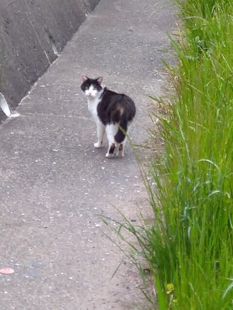 f:id:cutie_blue:20230421203218j:image f:id:cutie_blue:20230421203218j:image