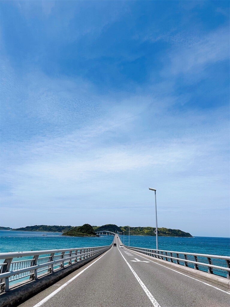 f:id:cutie_blue:20230425114300j:image f:id:cutie_blue:20230425114300j:image