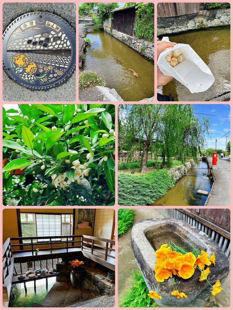 f:id:cutie_blue:20230509132144j:image f:id:cutie_blue:20230509132144j:image