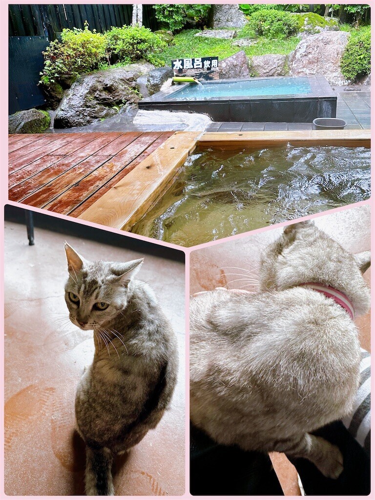 f:id:cutie_blue:20230509133545j:image f:id:cutie_blue:20230509133545j:image