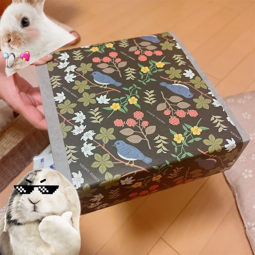 f:id:cutie_blue:20230512175754j:image f:id:cutie_blue:20230512175754j:image