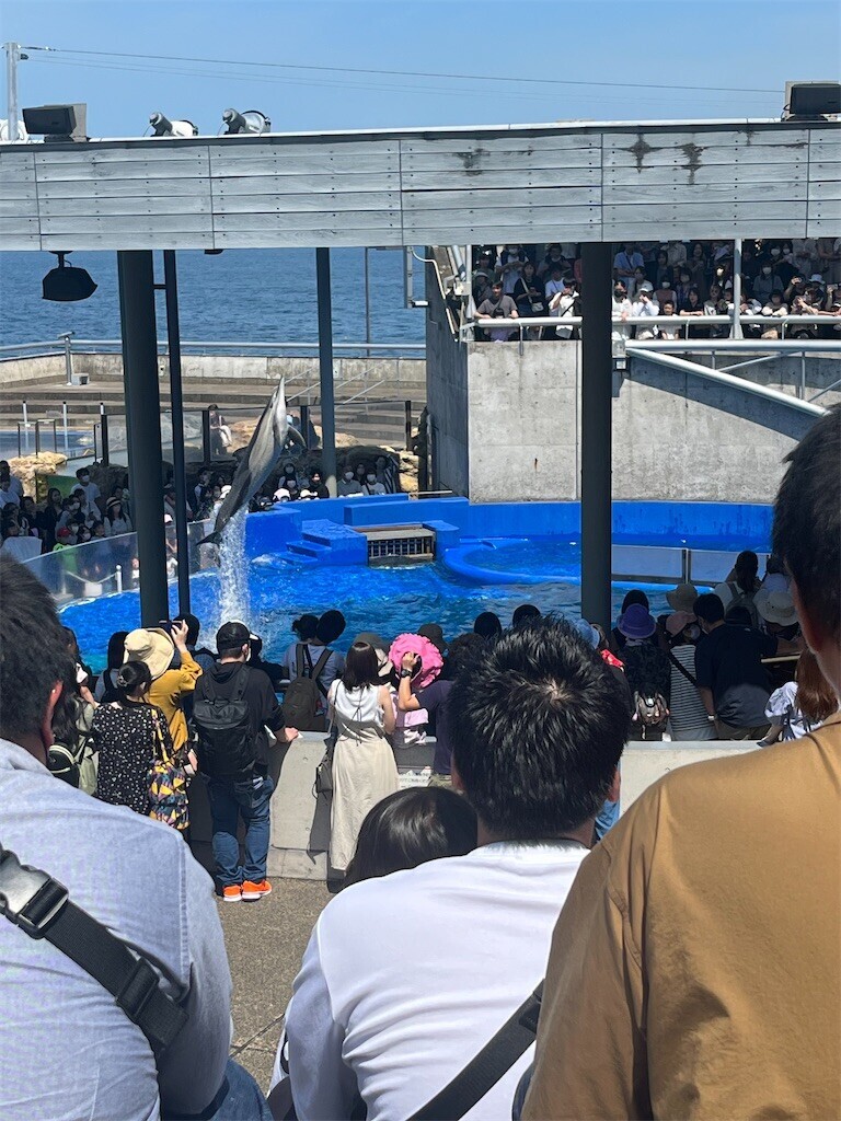 f:id:cutie_blue:20230526124509j:image