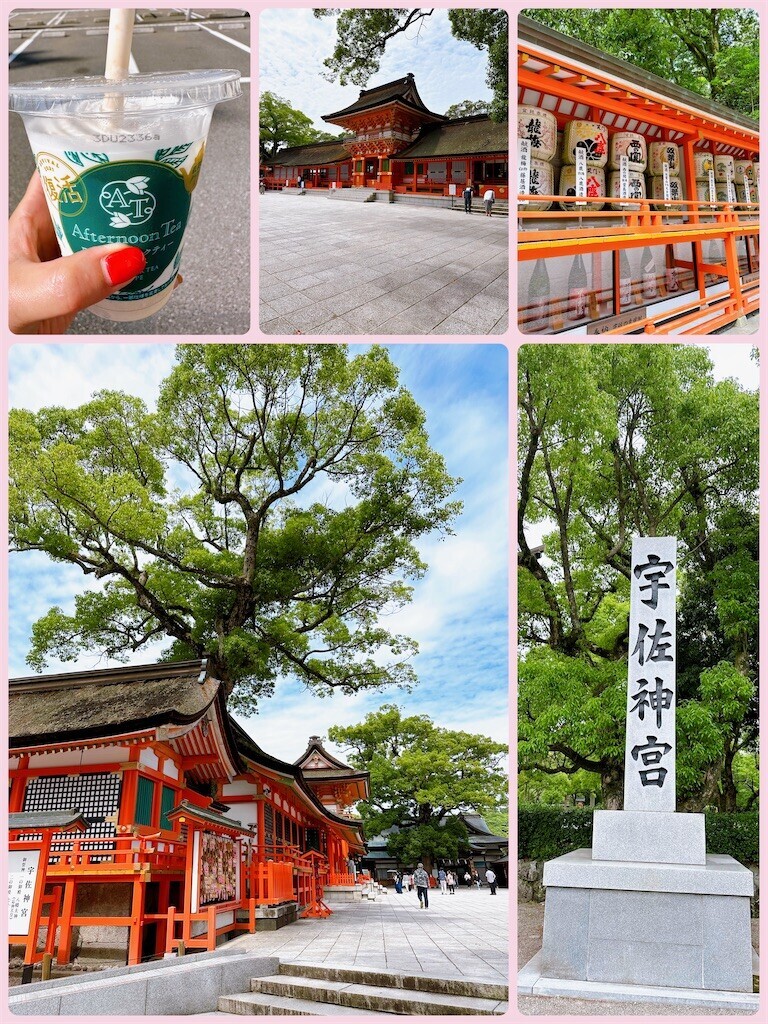 f:id:cutie_blue:20230606124529j:image f:id:cutie_blue:20230606124529j:image