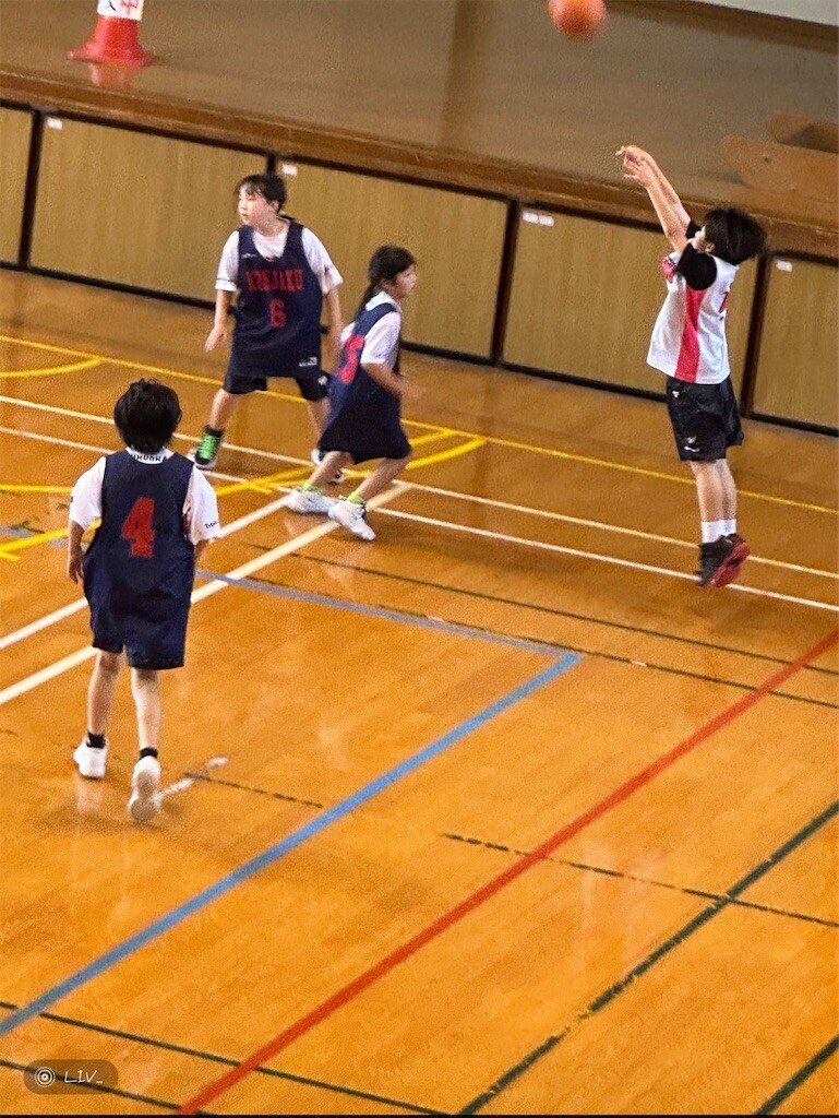 f:id:cutie_blue:20230617150823j:image