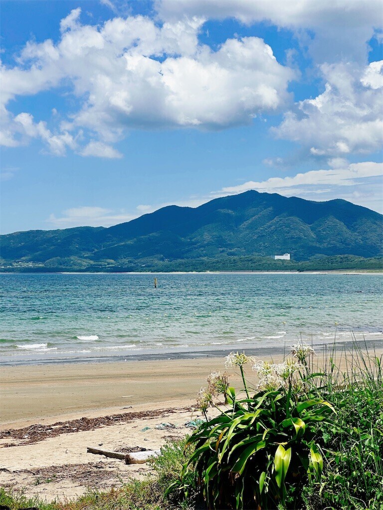 f:id:cutie_blue:20230801134731j:image f:id:cutie_blue:20230801134731j:image