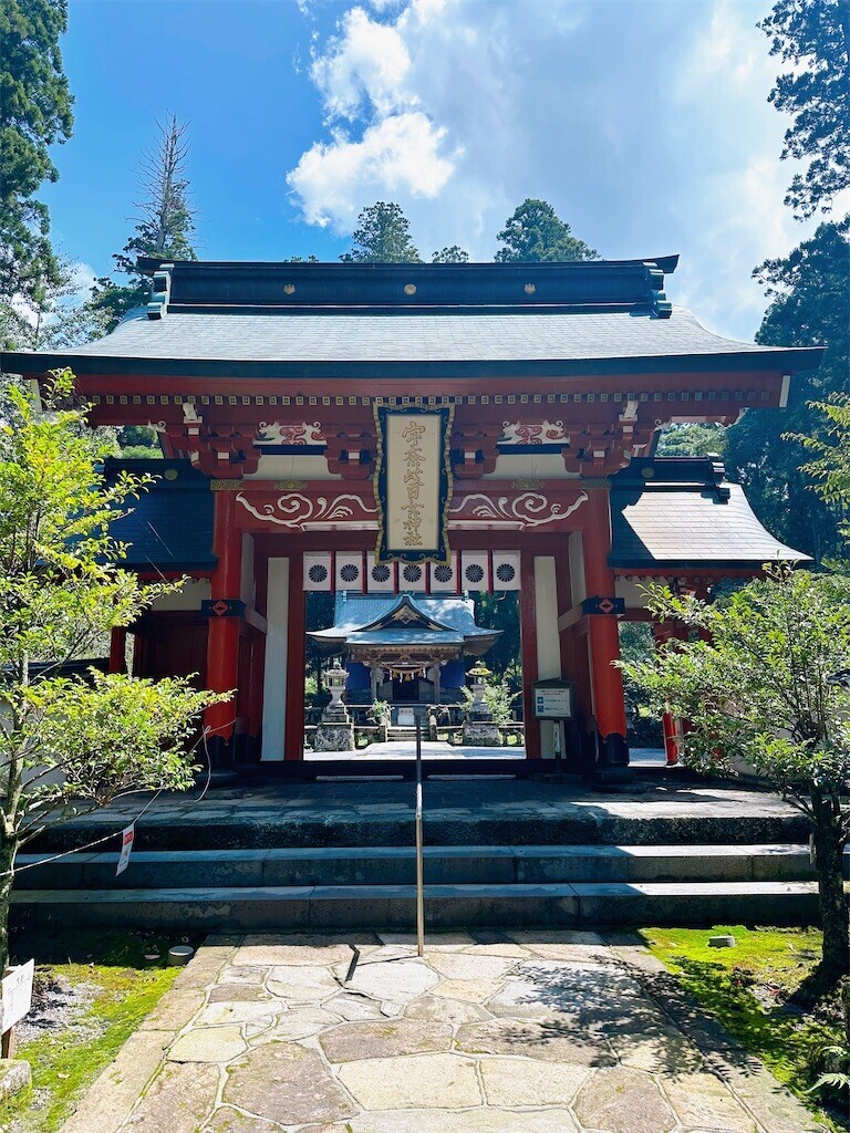 f:id:cutie_blue:20230822151153j:image f:id:cutie_blue:20230822151153j:image