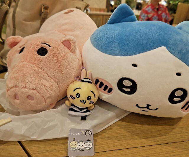 f:id:cutie_blue:20230823062635j:image f:id:cutie_blue:20230823062635j:image