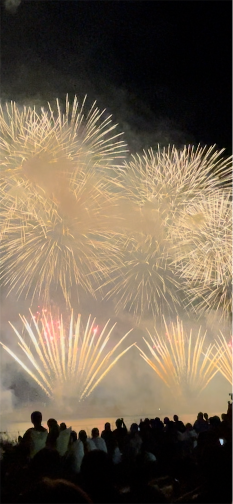 f:id:cutie_blue:20230828145530p:image