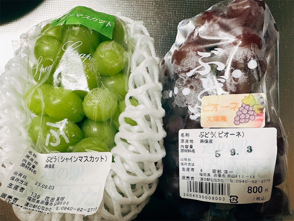 f:id:cutie_blue:20230905131235j:image