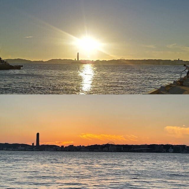 f:id:cutie_blue:20230906081615j:image f:id:cutie_blue:20230906081615j:image