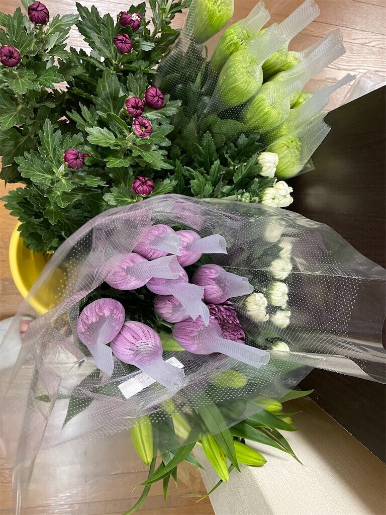 f:id:cutie_blue:20230918200121j:image f:id:cutie_blue:20230918200121j:image