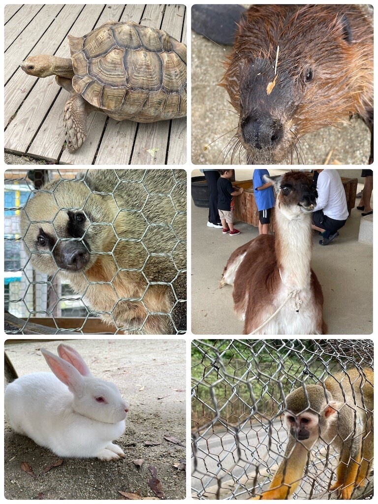 f:id:cutie_blue:20230918200627j:image f:id:cutie_blue:20230918200627j:image