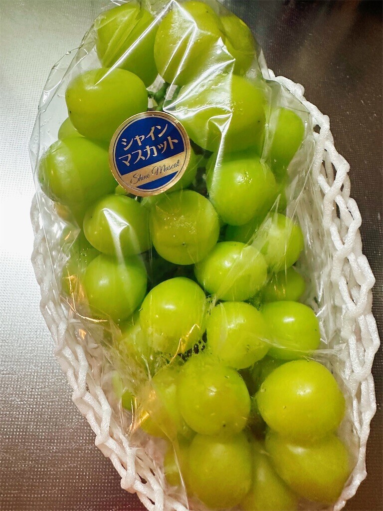 f:id:cutie_blue:20230919125026j:image f:id:cutie_blue:20230919125026j:image