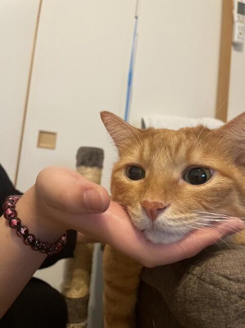 f:id:cutie_blue:20230920160141j:image f:id:cutie_blue:20230920160141j:image