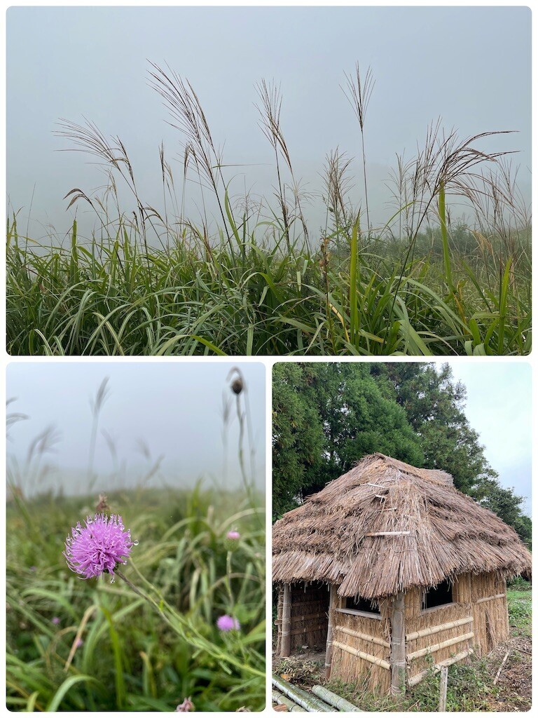 f:id:cutie_blue:20231009153254j:image