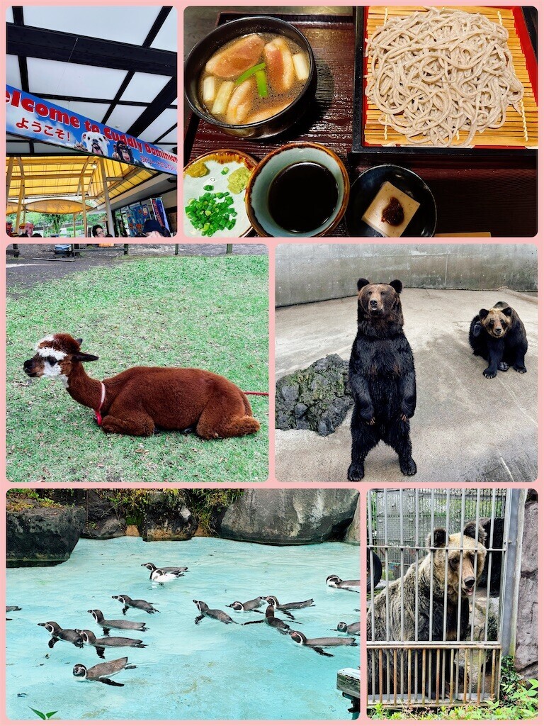 f:id:cutie_blue:20231010155541j:image