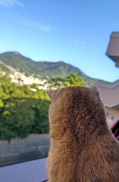 f:id:cutie_blue:20231025145634j:image f:id:cutie_blue:20231025145634j:image