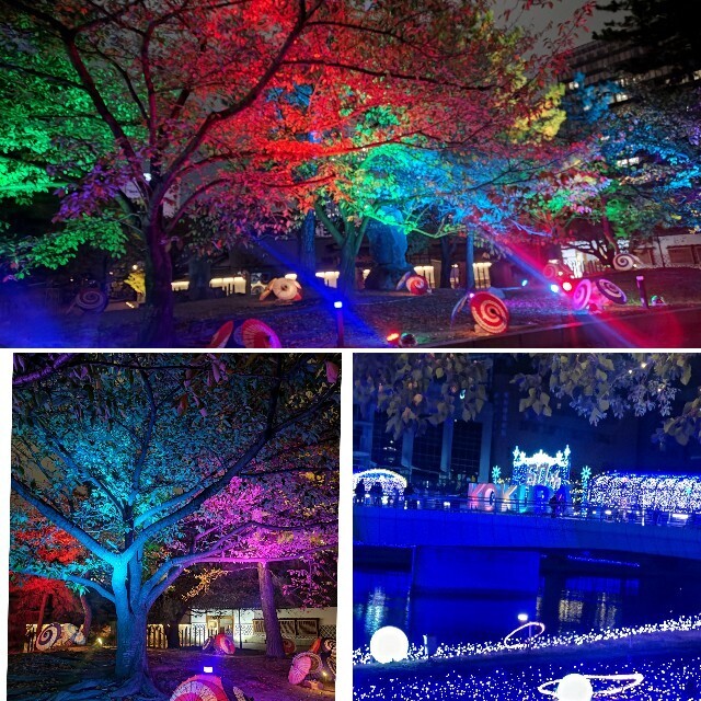 f:id:cutie_blue:20231108145609j:image f:id:cutie_blue:20231108145609j:image