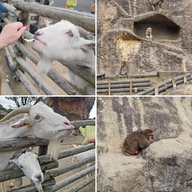 f:id:cutie_blue:20231122174033j:image f:id:cutie_blue:20231122174033j:image