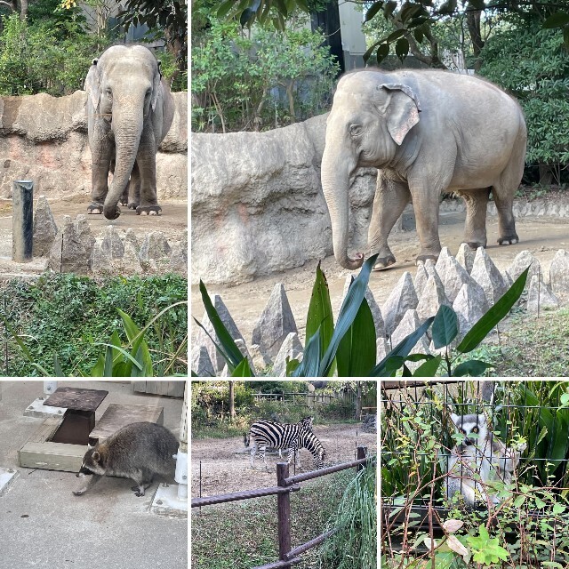 f:id:cutie_blue:20231122174452j:image f:id:cutie_blue:20231122174452j:image