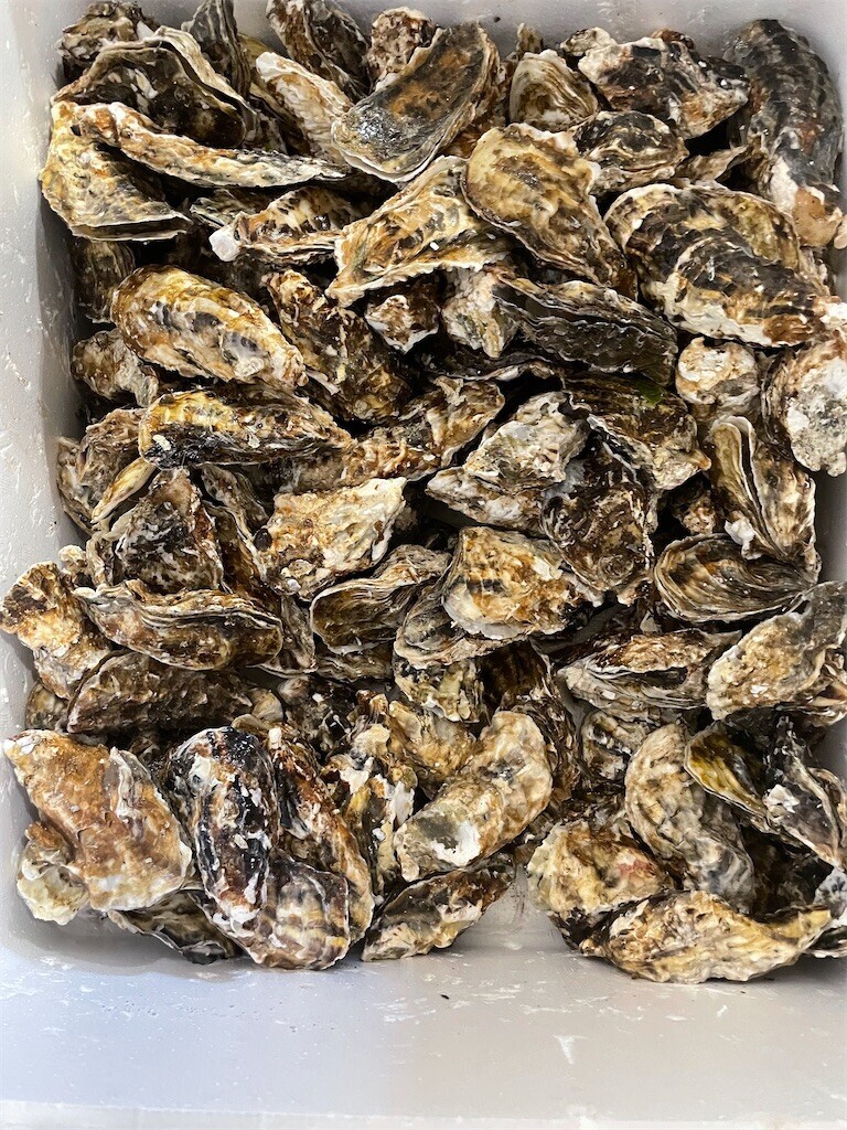 f:id:cutie_blue:20231124102029j:image f:id:cutie_blue:20231124102029j:image