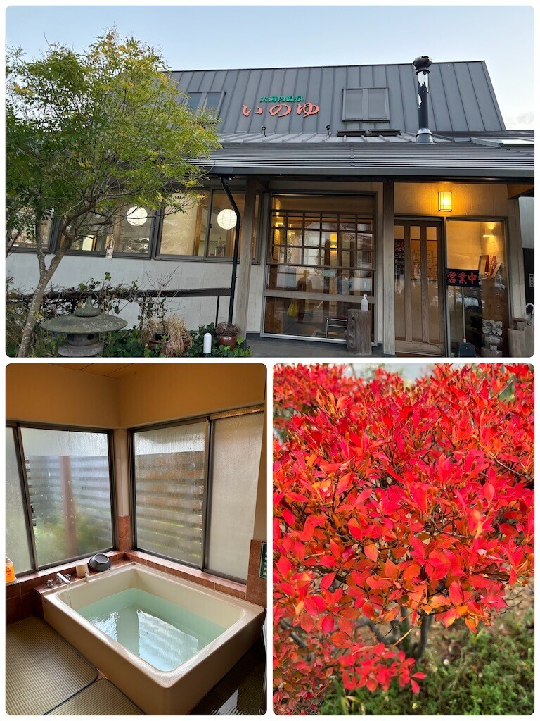 f:id:cutie_blue:20231127103249j:image f:id:cutie_blue:20231127103249j:image