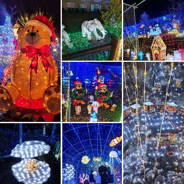 f:id:cutie_blue:20231129175915j:image f:id:cutie_blue:20231129175915j:image