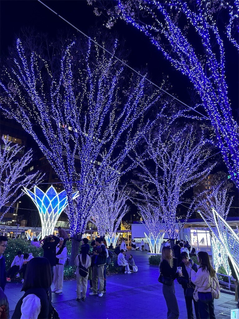 f:id:cutie_blue:20231205152259j:image f:id:cutie_blue:20231205152259j:image