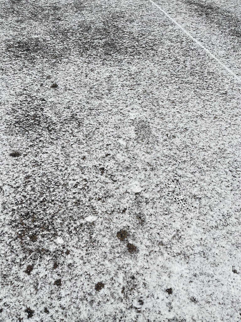 f:id:cutie_blue:20231222084959j:image