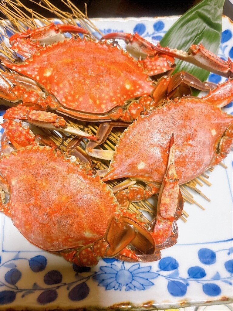 f:id:cutie_blue:20240108171902j:image