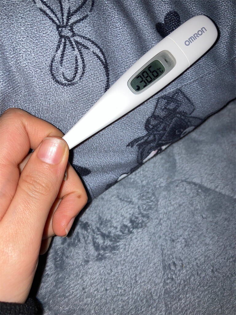 f:id:cutie_blue:20240117195812j:image