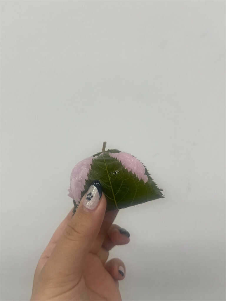 f:id:cutie_blue:20240119135726j:image